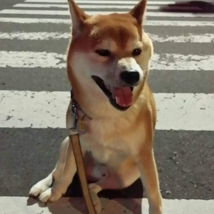 8d12531a cd0b 4ca6 b28e cd13e937d23b