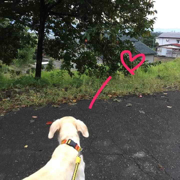 8d137d65 f23e 41e7 9f6a 248d2f53c955