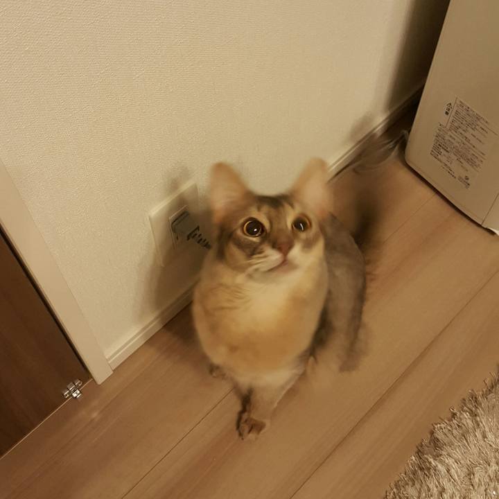 8d13b852 7f52 4b9d b72a 27ea1e97bbd1