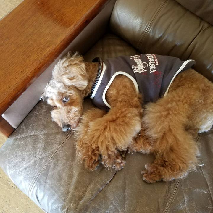 8d1417ff fbfc 4075 b55a 33460df9b207