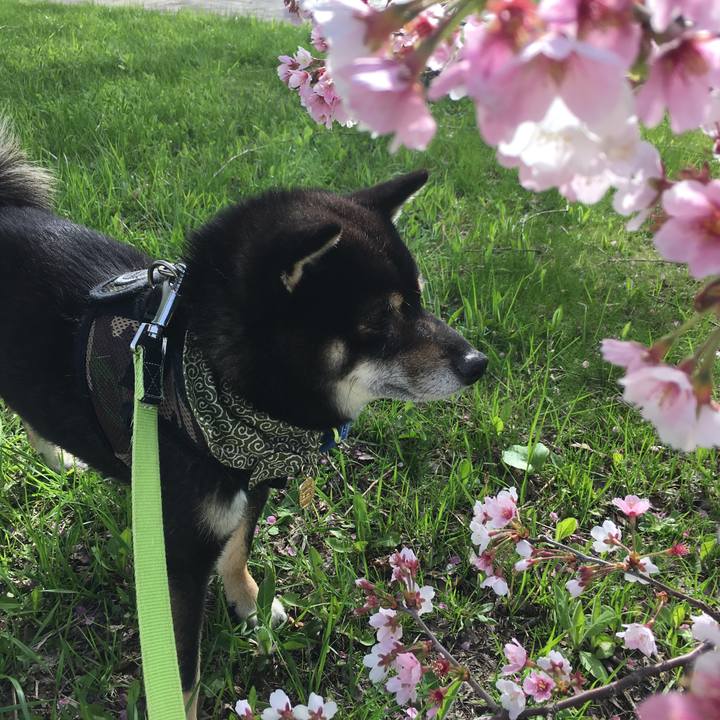 8d145bc0 5428 4aa7 b161 f1425149b0e9