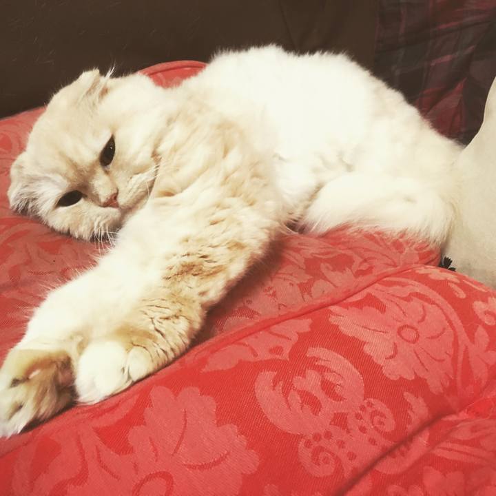 8d14d575 3547 425c a50e 8bed4a916830