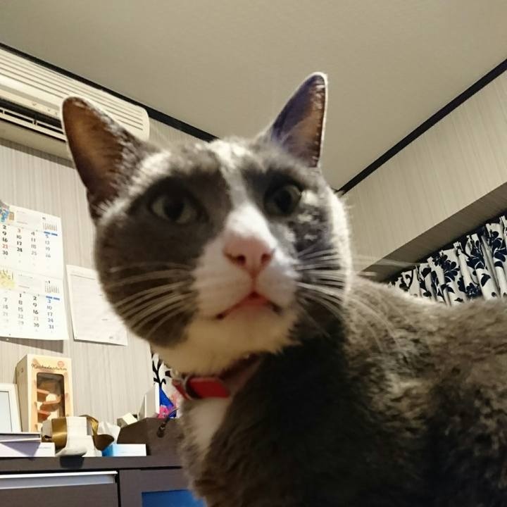 8d16d350 e62b 4eda b243 3b6c44dd9141