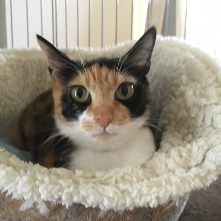 8d175214 0a92 4e78 a06f ae71d84706f0