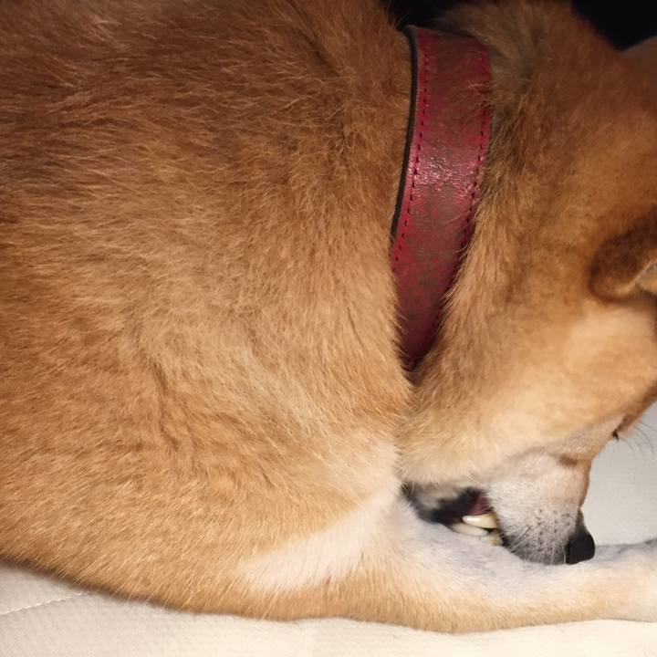 8d18411e 88bf 4691 83e9 3f461eddc593