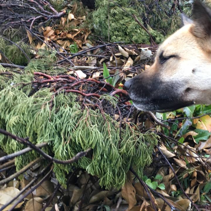 8d18d335 de03 42ab a2ab 8baa807c7bfc