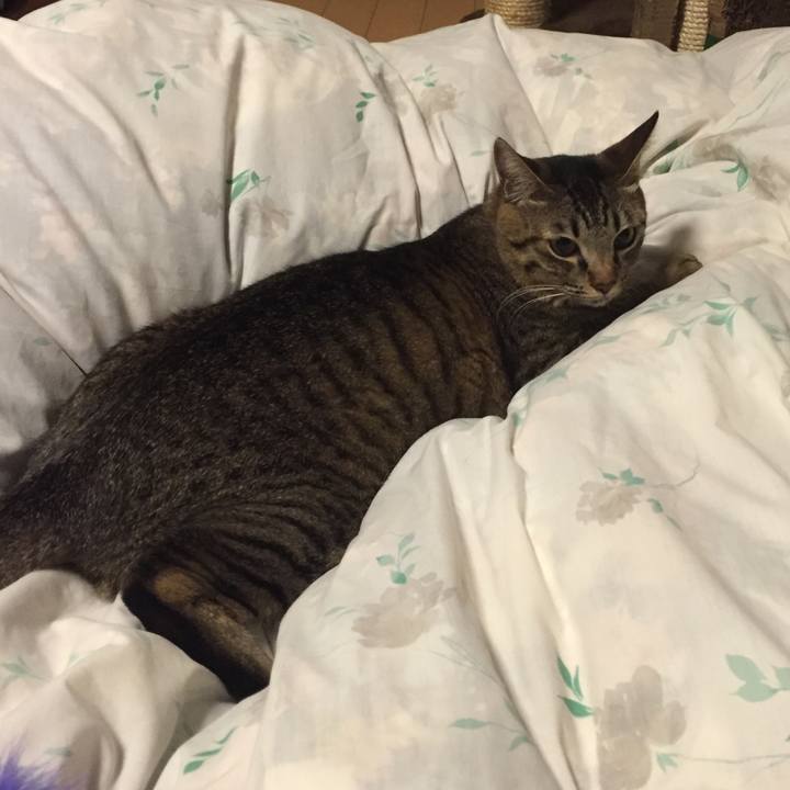 8d18ecf0 056b 4c66 baed f8d38554c591