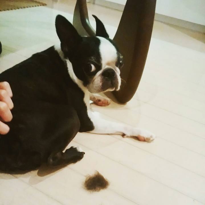 8d195b68 1810 4e1f aefc 2c9758725c76