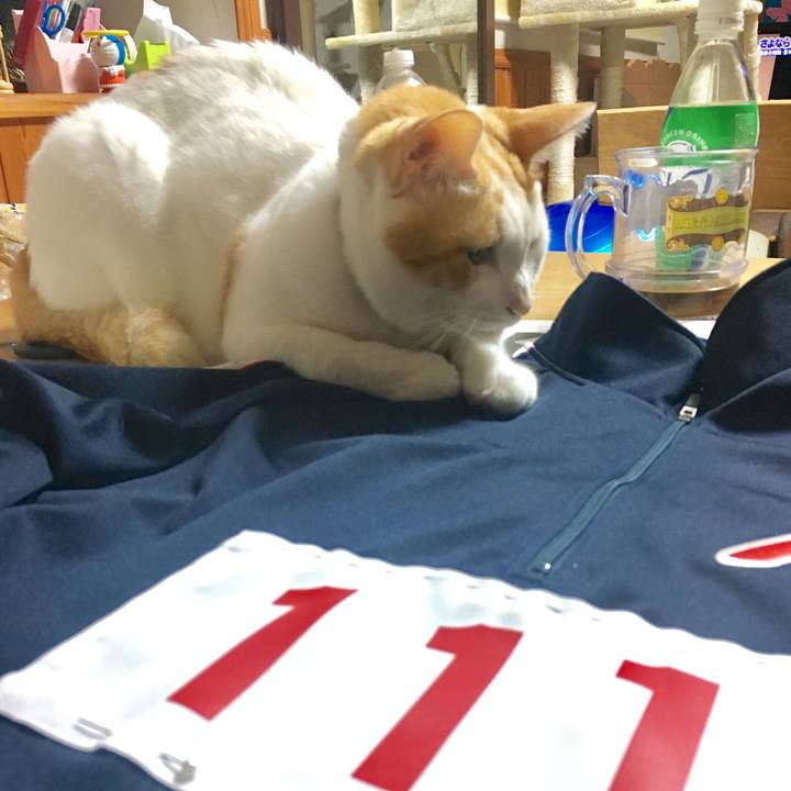 8d1973df ca44 4b61 b625 8845385e7de6