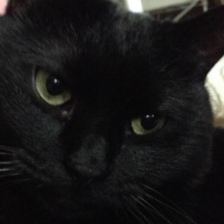 8d198dd6 0030 4e90 81f5 d0541906d9e3