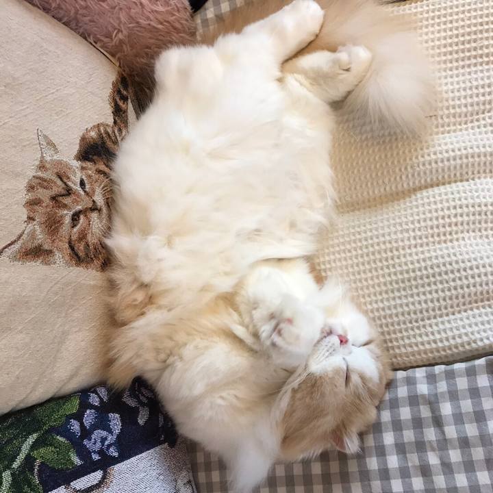 8d1997f6 5af9 43ea 8eae 58fdf76ac7a2