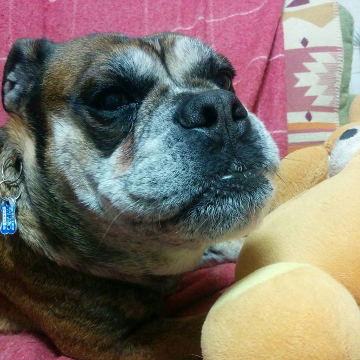 8d1aa13f 46ee 4226 a61c c060b97d6149