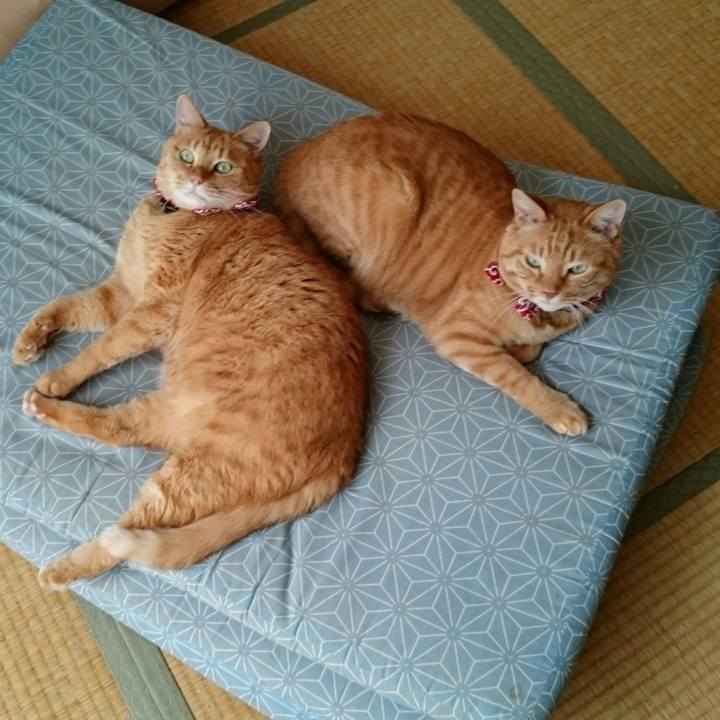 8d1aa582 86ee 45ee a84f ad2d979fe5b6