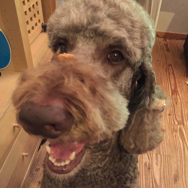 8d1ab7e2 e57e 47ae 81c2 e9600335a1dc