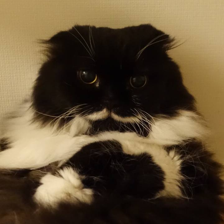 8d1aea8d aca1 43ce a8b7 cf457a039665