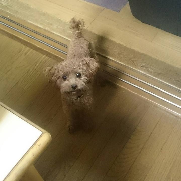 8d1af2b4 1e70 48ab 9110 0a7523acfa4f