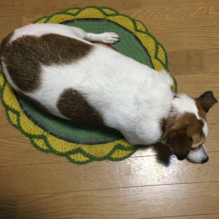 8d1af450 809a 4906 be09 767e0acf911a