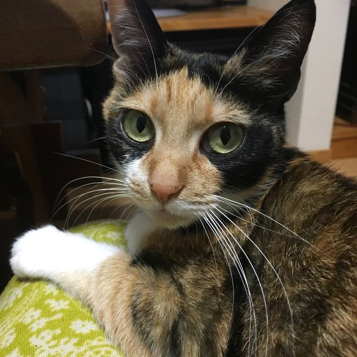 8d1af9d6 bbc9 4912 bd70 87c93f38d8ac