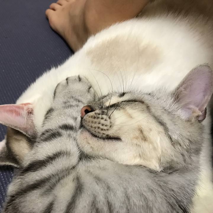 8d1b4850 c302 4938 a2a2 dbb3a286c4b5