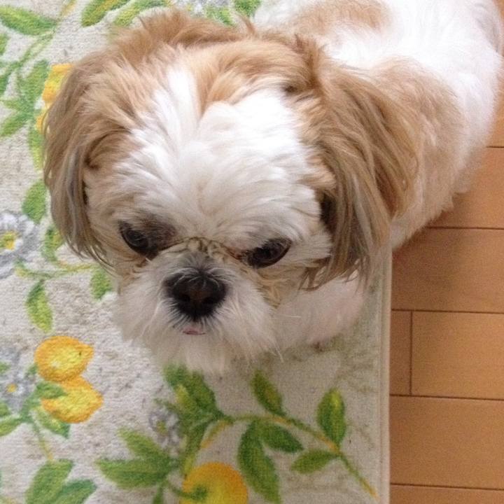 8d1bcf50 3d61 49c2 b0d9 34936088c41b