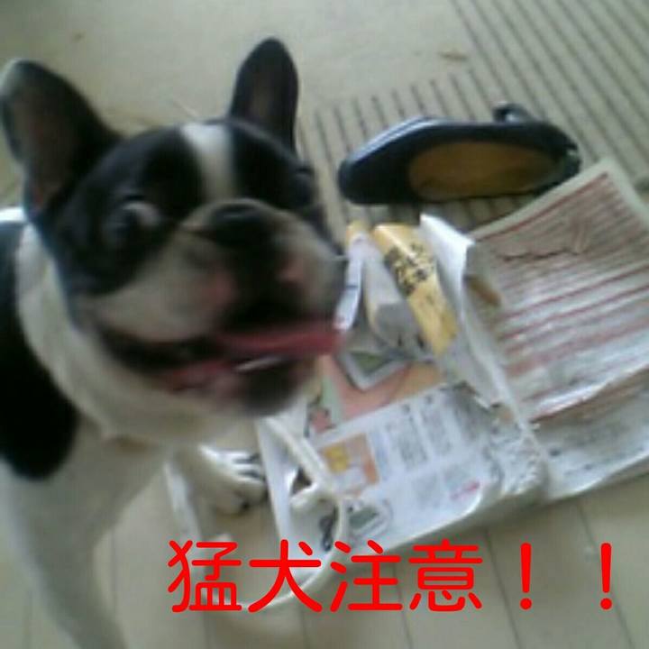 8d1bcf5d 308f 4b65 8b94 461b7849b192