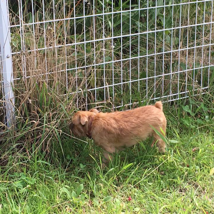 8d1ca009 4df0 4fe8 916c fcab0d12fd59