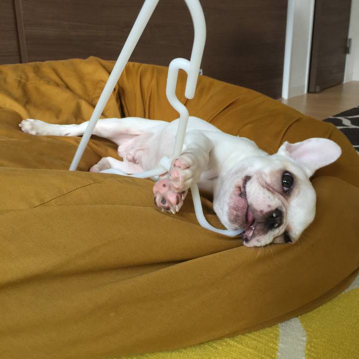 8d1d32ca 4f76 44be 841e a10b85999101