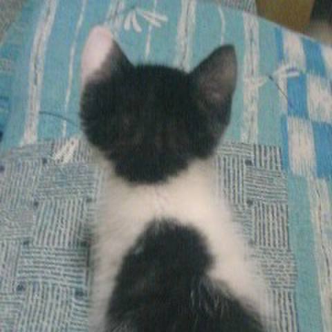 8d1d7d9a 026e 4b78 a9a7 e8a83d3c346a