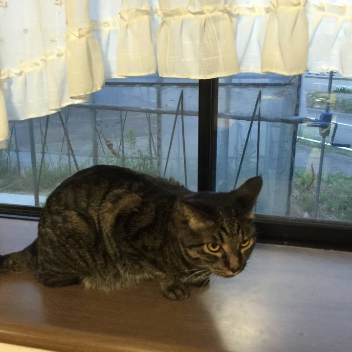 8d1d98df 0675 4a5c 809f 05ea3f281bb4