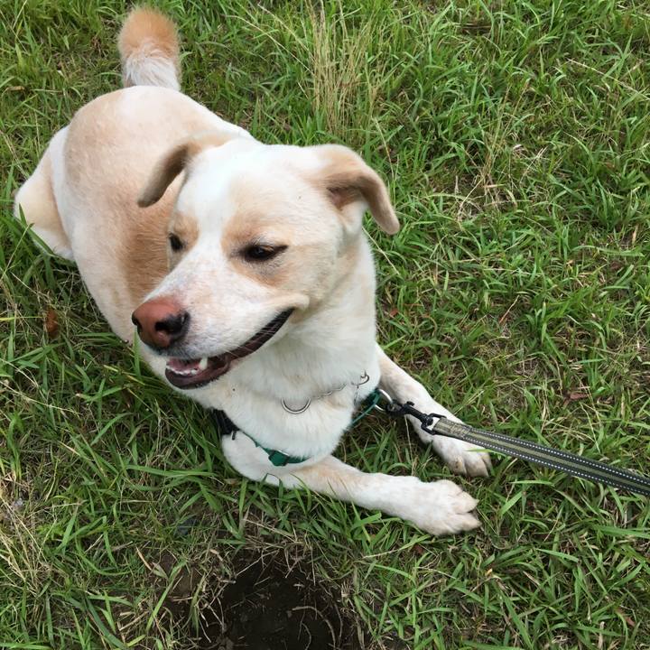 8d1db97c fe61 435c a4c9 d2728291fdc4