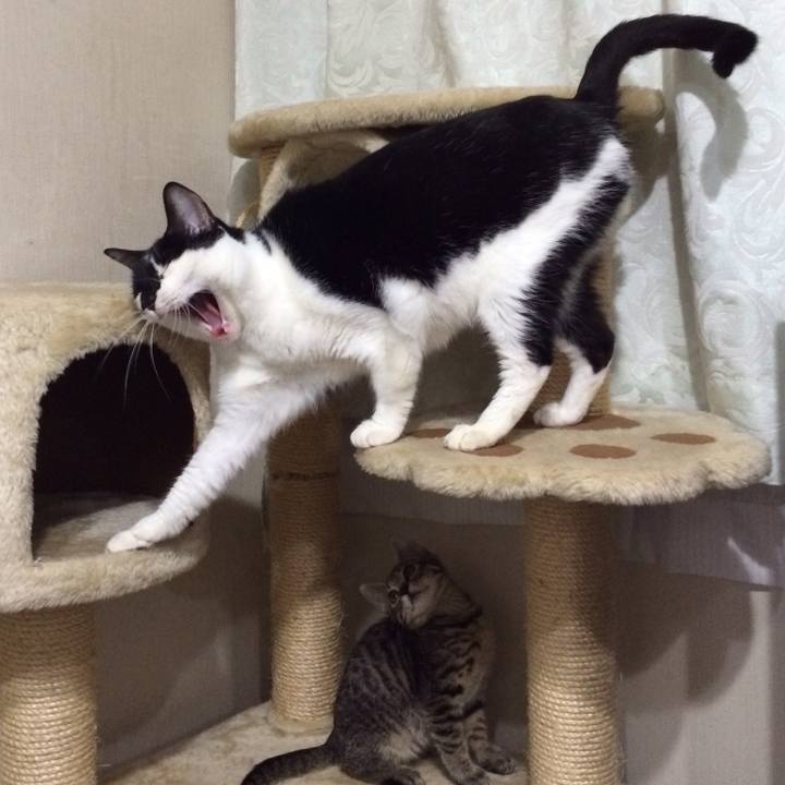 8d1e24d0 2165 4ec1 843f 229de766ab62