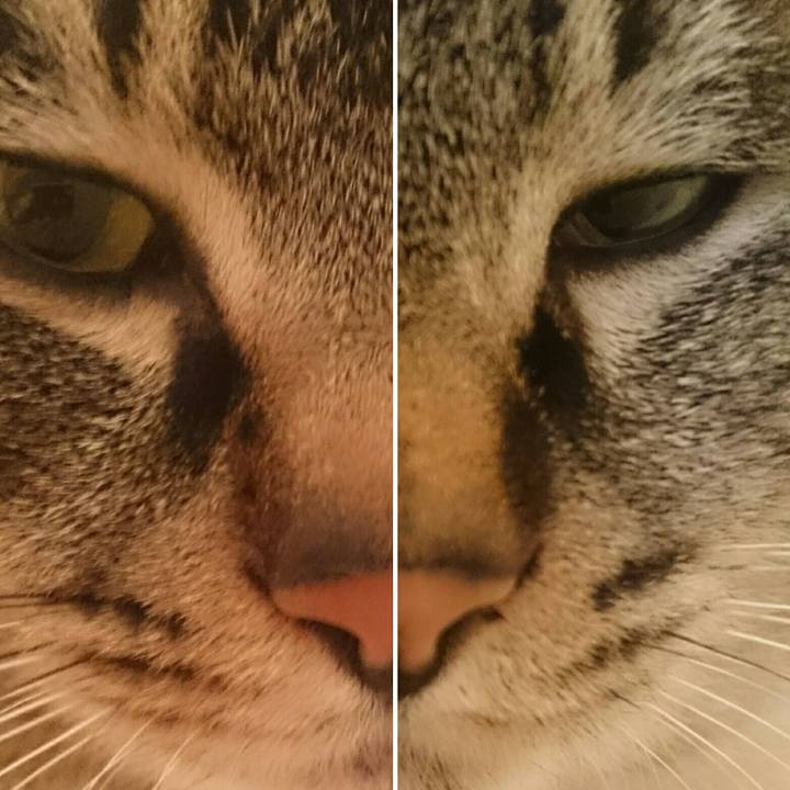 8d1e327e 805f 4828 9fc9 610299c1fed6