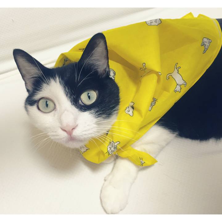 8d1e3295 8a6f 483a 9e49 448b2a6f0889