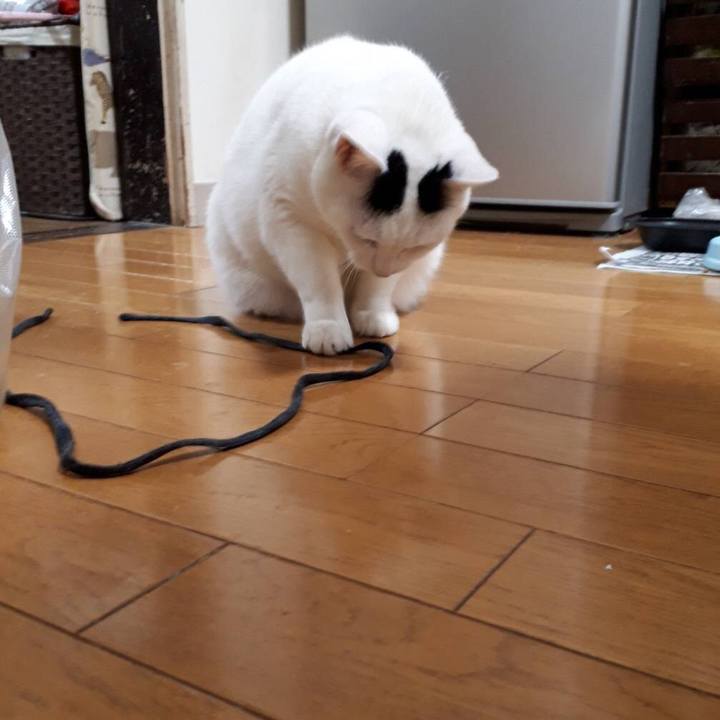 8d1e6163 4f90 4d79 830d 1f18a73aa640