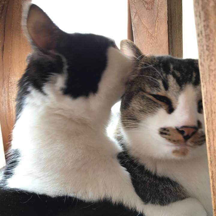 8d1f405b 7275 456c af0c 8f29620a4076