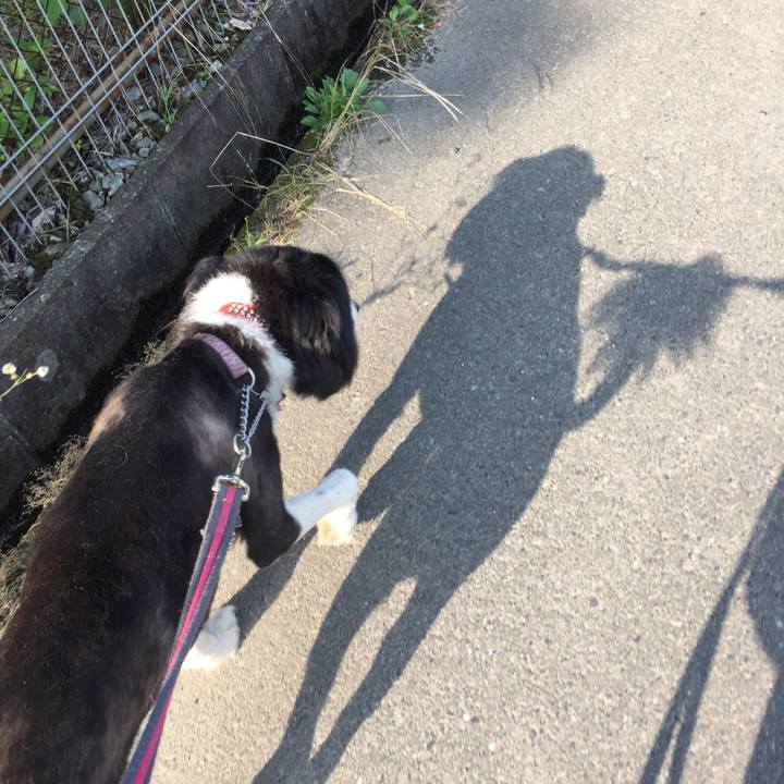 8d1f9724 4df3 43bc 83b3 8f4e99b60b68