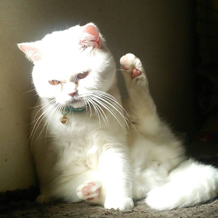 8d1fa834 36fa 4d56 aaf2 6c891fb18b92