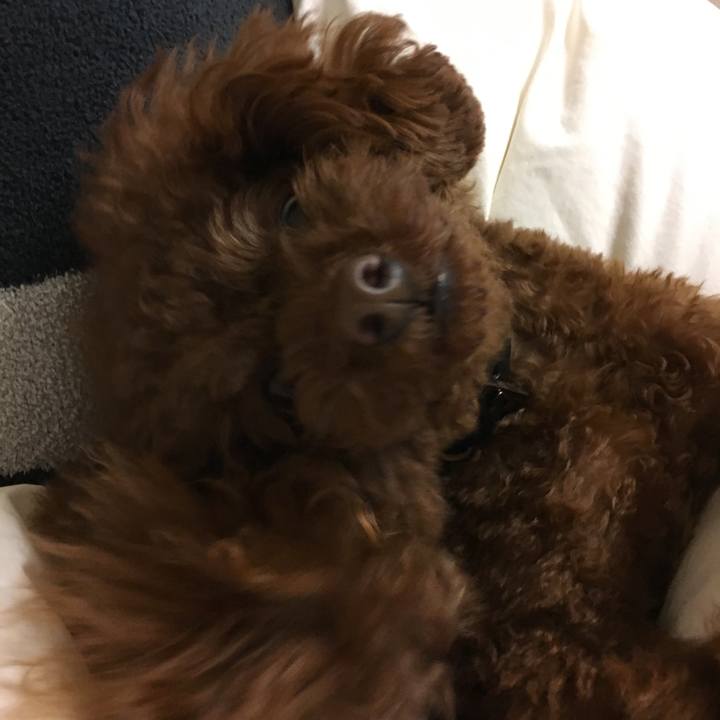 8d1fb34e 36db 4cd5 a077 326433ca0b33