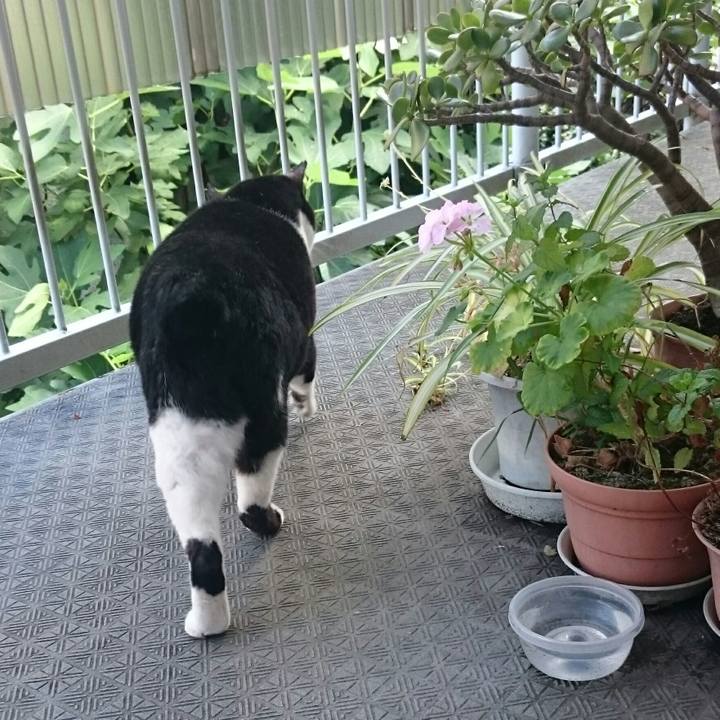 8d1fbd12 fae9 4141 a5d8 a402a0e36304