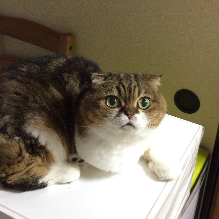 8d1fca93 120f 435b 8af6 2f3d907fe79d