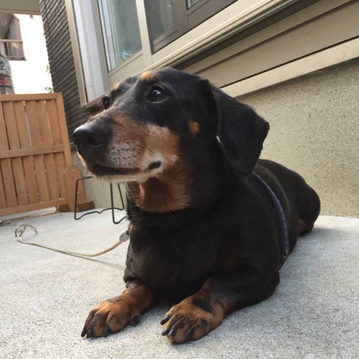 8d209de7 0130 44a0 9441 f3ea5e323509