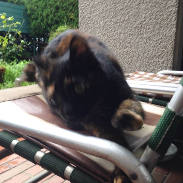 8d21114e bacf 4e19 8724 e019f1e5e432