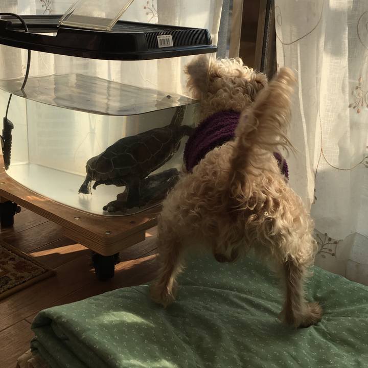 8d21b47e f15e 4c38 afc3 67ad972c7bab