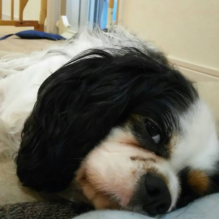 8d21ca86 39e1 4039 9da5 bafabb017fbf