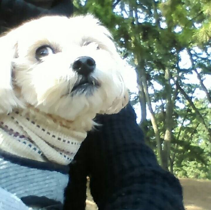 8d21ee33 aab8 4204 906b a8ef00e5ec6d