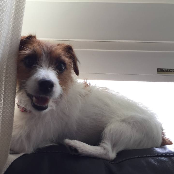 8d220eb0 0241 44fc 9134 c745063e3e2e