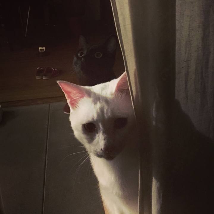 8d221948 d2e4 405e a56e 81f5c7d8411f