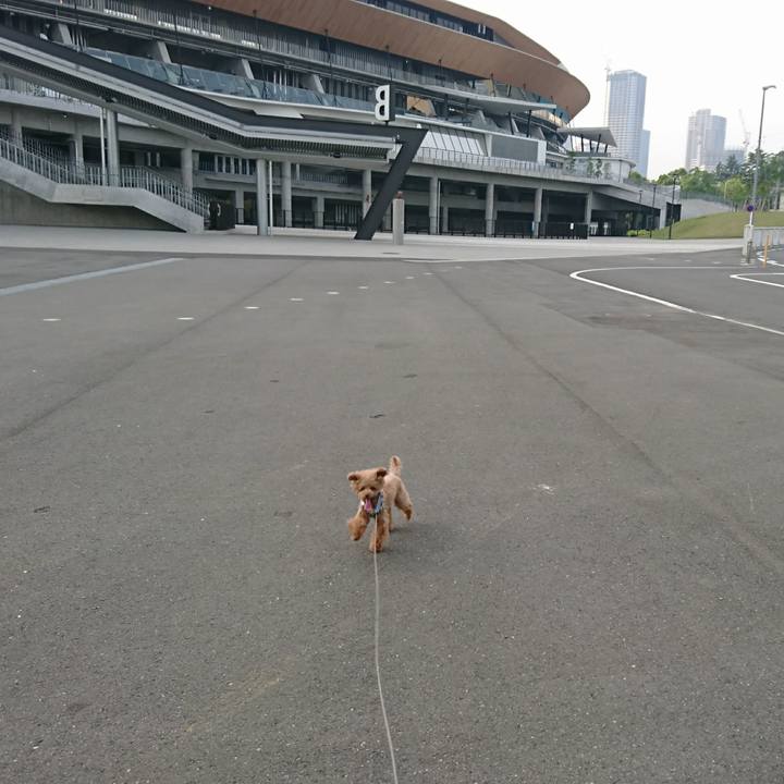 8d222853 a4dd 4ab0 86b1 18fdb04f9dc3