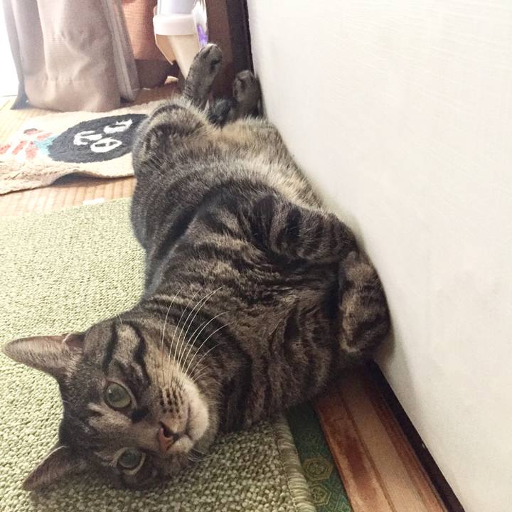 8d2238e0 231c 4688 9874 02c08f478a65