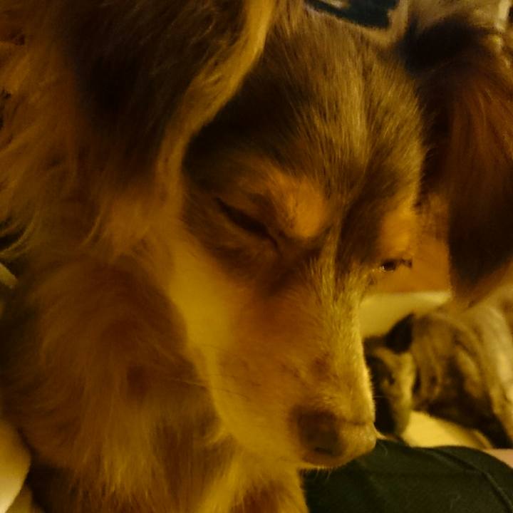 8d23470b a62f 400d 9b84 feb1f856aacd